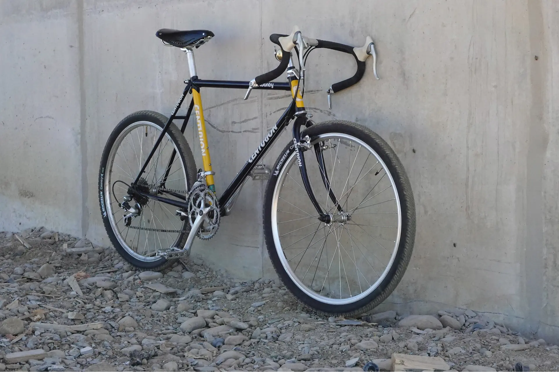 Backwoods Warbler hover